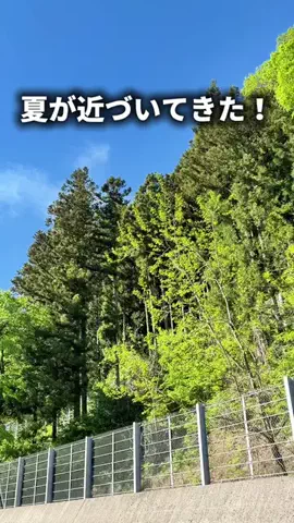 ごのくら｜ズボラ夫のラクする暮らしのTikTok投稿