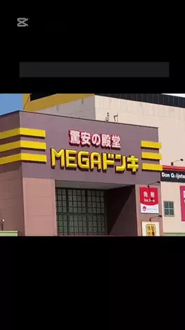 ねこちゃんのTikTok投稿
