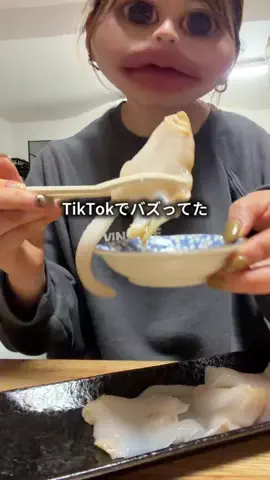 ちゃちゃ| ３兄弟と戦うズボラ母のTikTok投稿