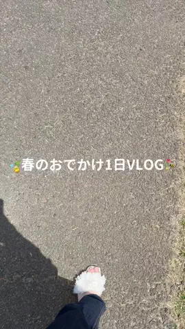ゆいのTikTok投稿