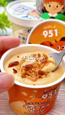 あちこのTikTok投稿