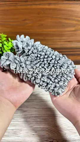 あちこのTikTok投稿
