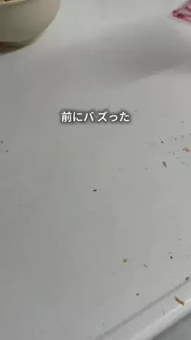 ちゃちゃ| ３兄弟と戦うズボラ母のTikTok投稿