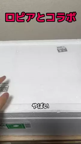 牛脂ちゃん（仮）のTikTok投稿