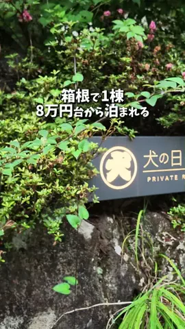 キンベル|格安旅行案内人のTikTok投稿