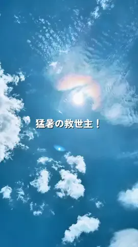 あちこのTikTok投稿