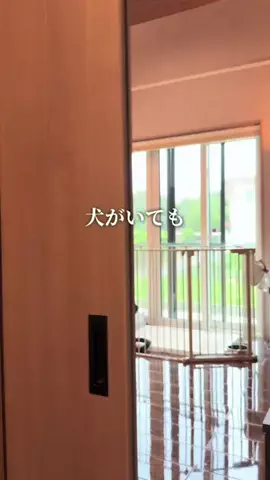 ゆっぴー〻一条で叶えた整う平屋暮らしのTikTok投稿