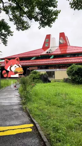 ウサパカカフェのTikTok投稿