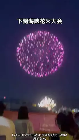 ウサパカカフェのTikTok投稿