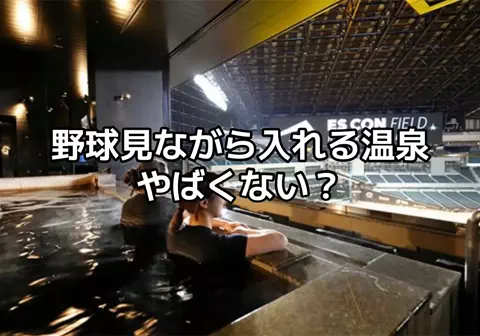 ウサパカカフェのTikTok投稿