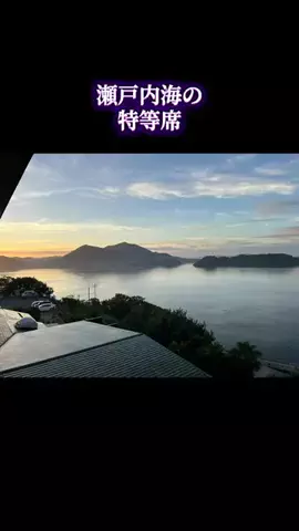 ウサパカカフェのTikTok投稿