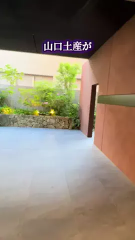 ウサパカカフェのTikTok投稿
