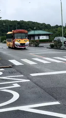 ウサパカカフェのTikTok投稿