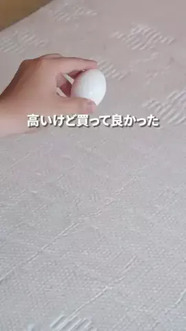Minato37.jpのTikTok投稿