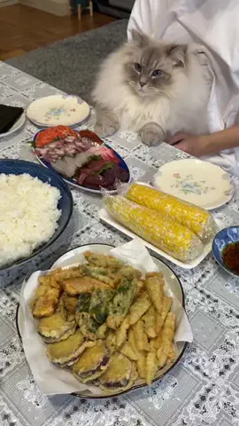 猫ﾁｬﾝ【いれぶん🐾🐾】サイベリアンのTikTok投稿
