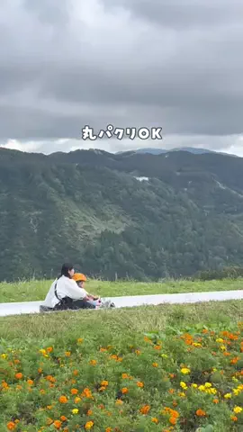yumi_oyakotripのTikTok投稿