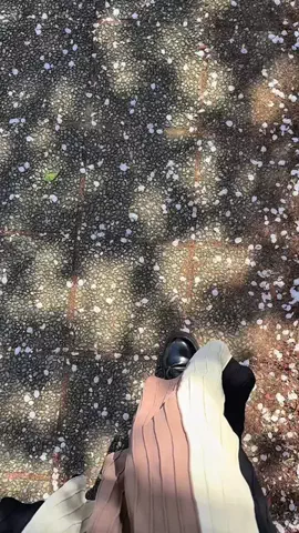 昏のTikTok投稿