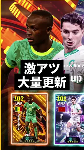 ひろ🦑のTikTok投稿