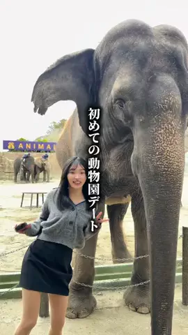 彼女がマラソンやるってよ✌️✌️のTikTok投稿