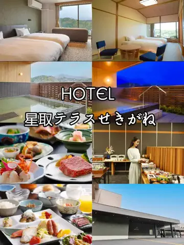 流音/ときめき商品レビューのTikTok投稿