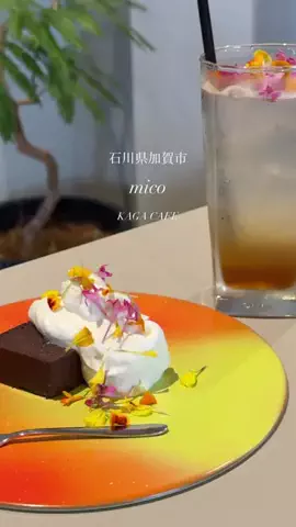 中村 孝一のTikTok投稿