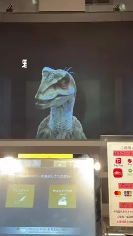 本田ちゃん❣北海道のTikTok投稿