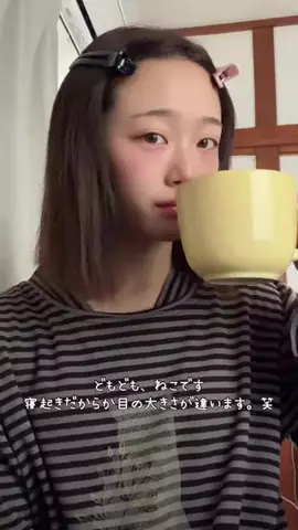 ねこみゆきのTikTok投稿