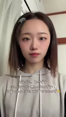 ねこみゆきのTikTok投稿
