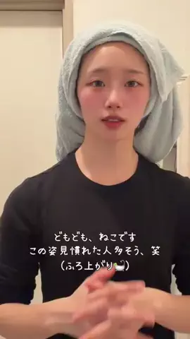ねこみゆきのTikTok投稿