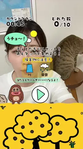吾輩はヤマネコのTikTok投稿