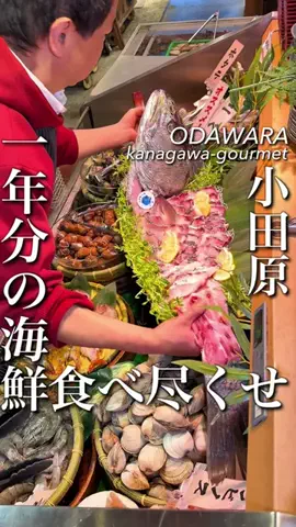 東京コスパグルメ／関東グルメ【公式】のTikTok投稿