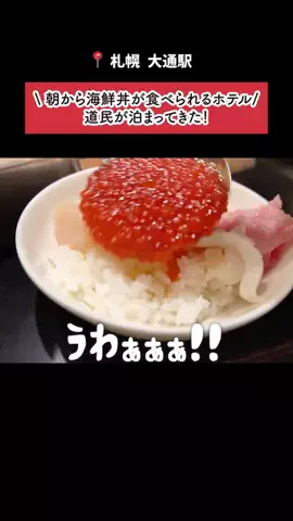 本田ちゃん❣北海道のTikTok投稿