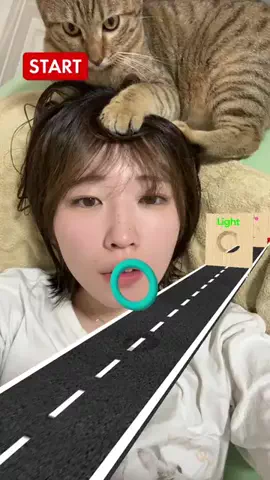 吾輩はヤマネコのTikTok投稿