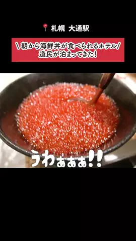 本田ちゃん❣北海道のTikTok投稿