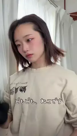 ねこみゆきのTikTok投稿