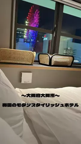ぎーちゃんのTikTok投稿