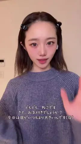 ねこみゆきのTikTok投稿