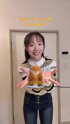 ねこみゆきのTikTok投稿
