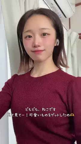 ねこみゆきのTikTok投稿