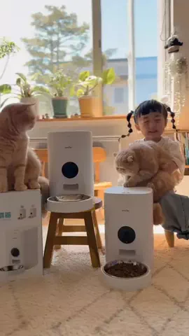 ひなまる色のTikTok投稿