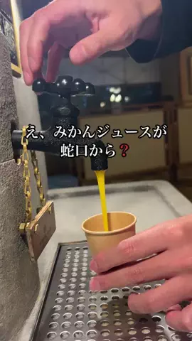 shuuublog/ホテル紹介のTikTok投稿