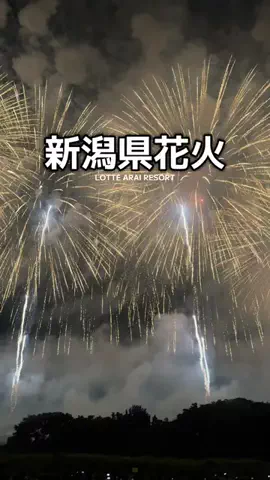 1QUESTION / JAPANのTikTok投稿