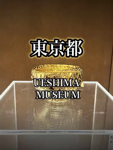 shuuublog/ホテル紹介のTikTok投稿