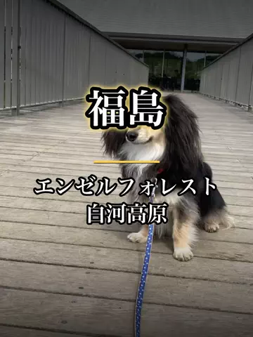 shuuublog/ホテル紹介のTikTok投稿