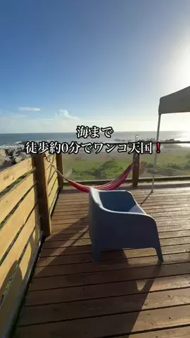 shuuublog/ホテル紹介のTikTok投稿