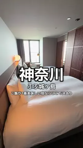 1QUESTION / JAPANのTikTok投稿