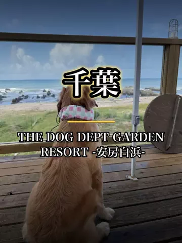 shuuublog/ホテル紹介のTikTok投稿