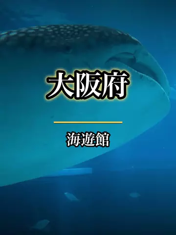 shuuublog/ホテル紹介のTikTok投稿