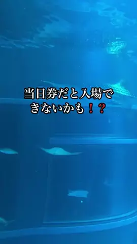 shuuublog/ホテル紹介のTikTok投稿
