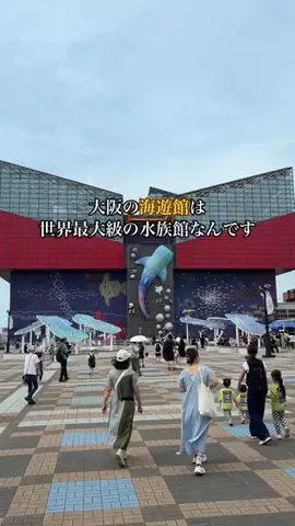 shuuublog/ホテル紹介のTikTok投稿